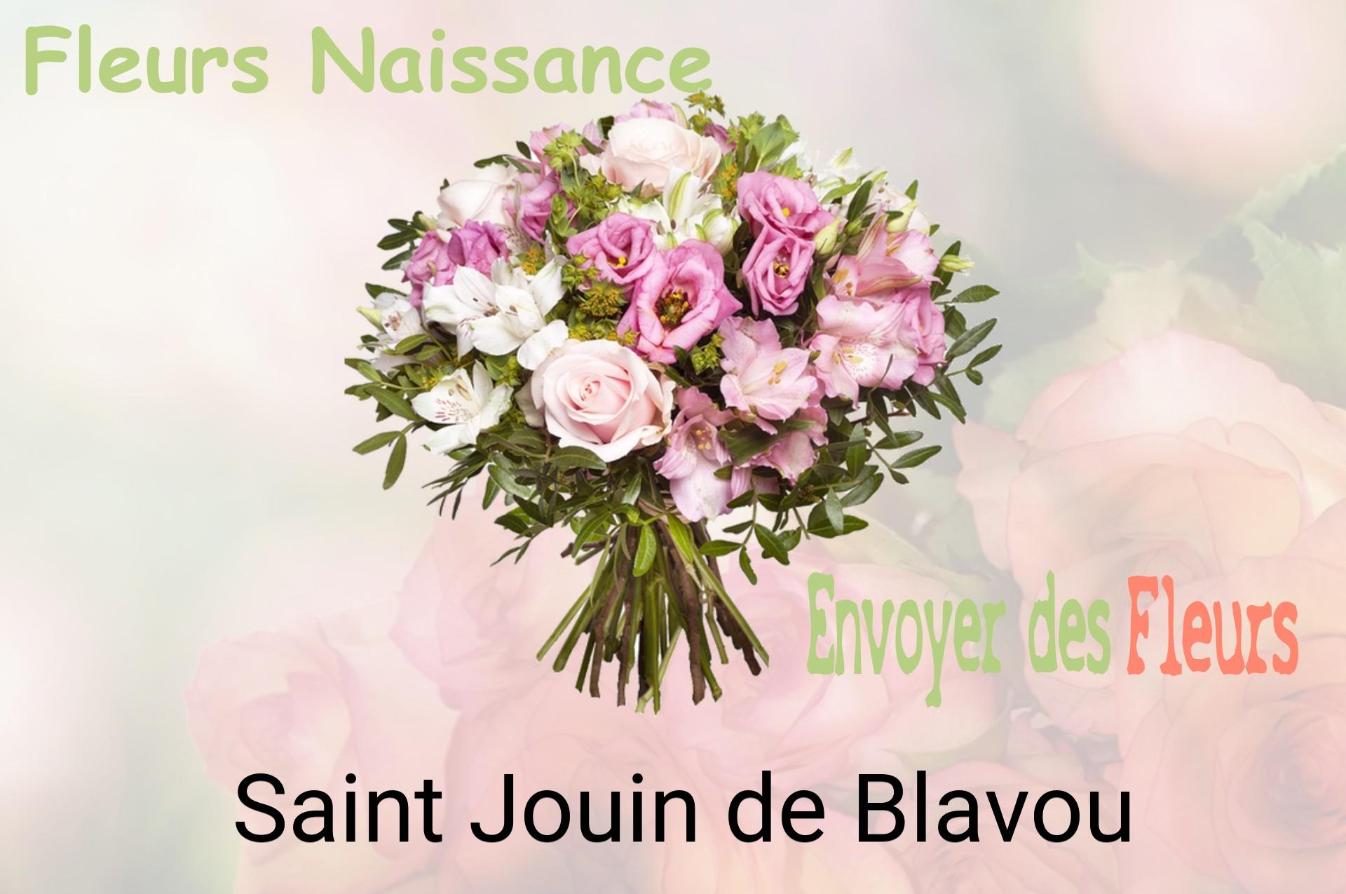 Bouquet de fleurs de naissance livré à Saint-Jouin-de-Blavou