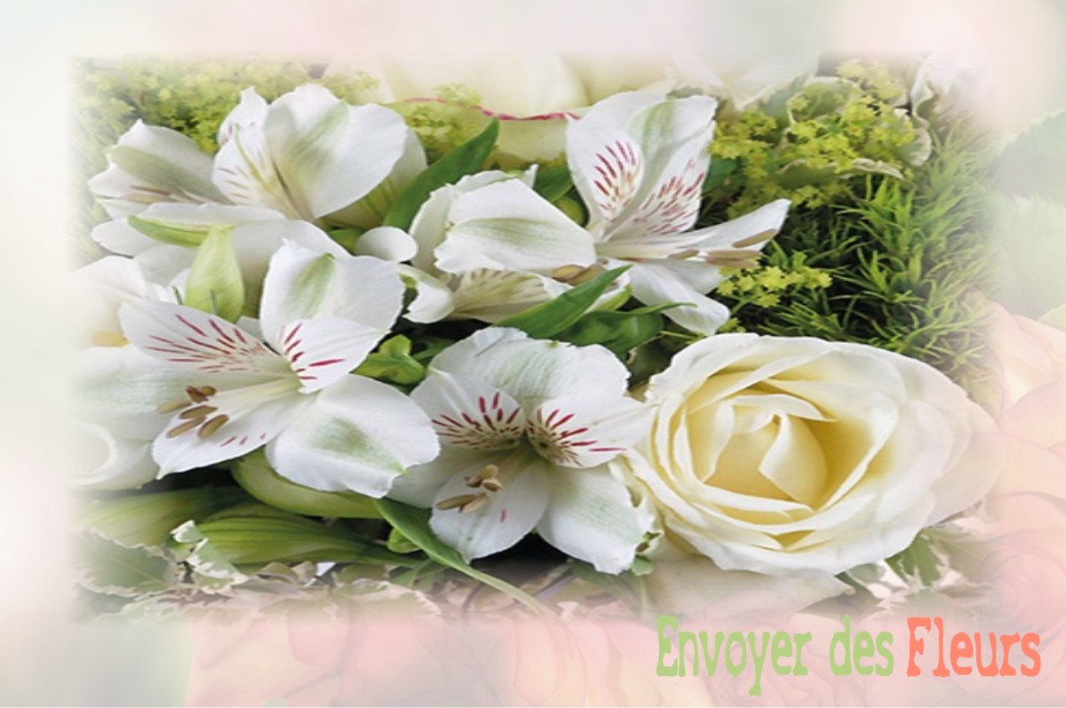 envoyer des fleurs à à SAINT-JOUIN-DE-BLAVOU