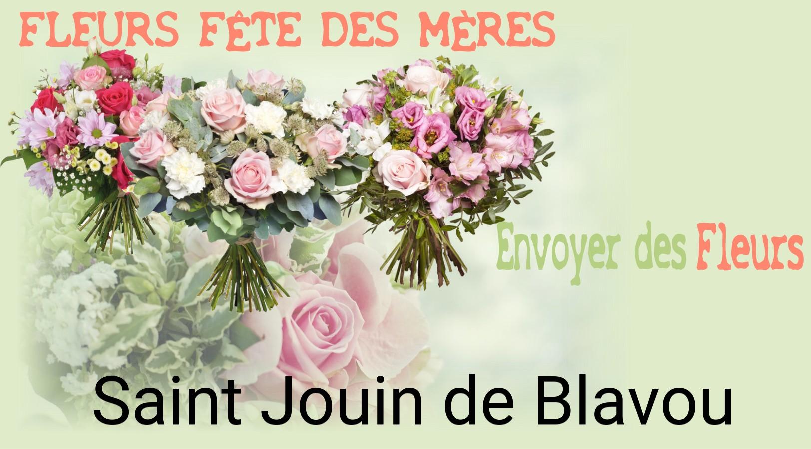 Bouquet de Fête des Mères livré à Saint-Jouin-de-Blavou